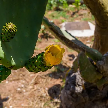Farm stay I Ruscioli *